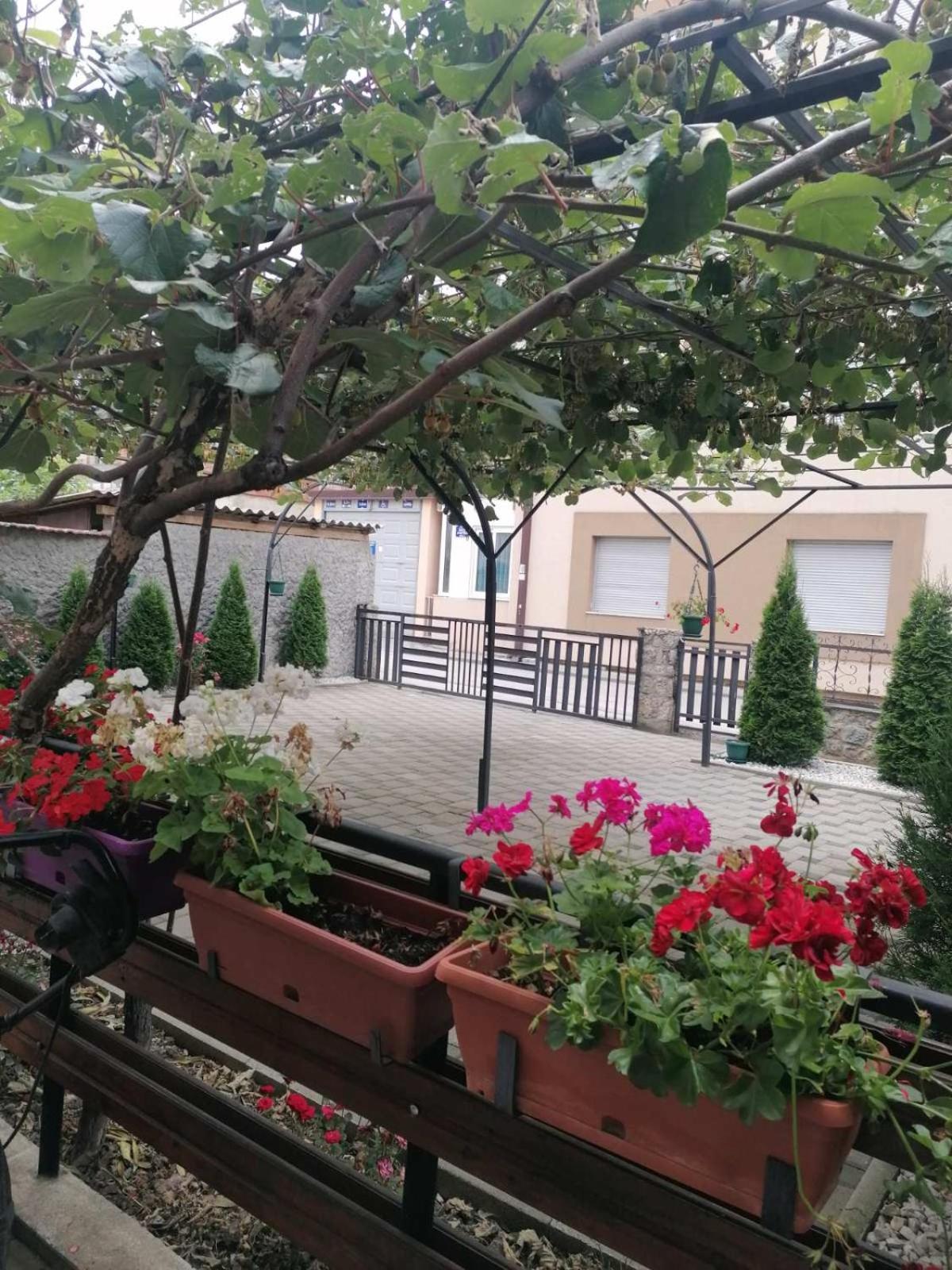 Petroski Apartments Ohrid Buitenkant foto